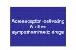 Adrenoceptor -activating & other sympathomimetic drugs