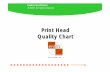 Evolis Print Head Quality Chart - gantnerlukud.ee