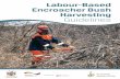 Labour-Based Encroacher Bush Harvesting Guidelines