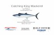 2012 Catching King Mackerel RB.ppt
