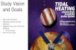 Study Vision and Goals