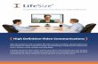 High Definition Video Communications - Intratel