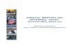 2012-2013 Annual Report on Internal Audit Activities PDF