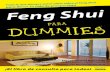 Feng Shui para Dummies - Archive