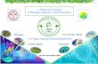 1er Séminaire National en Biologie Végétale et Environnement