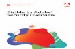Bizible by Adobe® Security Overview