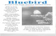Bluebird - North American Bluebird Society