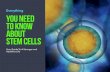 Everything YOU NEED TO KNOW STEM CELLS