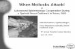 17a-Richardson When Mollusks Attack!