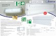 CATALOGUE RANGE: Emergency Lighting PERFECT FOR OFFICE ...