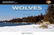 Wolves and the Isle Royale Environment - NPS
