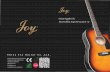 Joy Guitar Catalogue 2020 - China Joy Guitar Co.,Ltd.