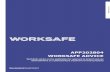 APP202804 WORKSAFE ADVICE - EPA