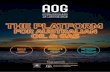 BUILD GENERATE NETWORK - AOG