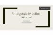 Analgesic Medical Model - templefmr2020online.com
