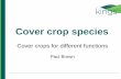 Cover crops for different functions