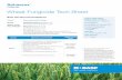 Wheat Fungicide Tech Sheet