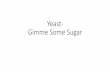 Yeast- Gimme Some Sugar