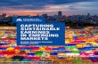 CAPTURING SUSTAINABLE EARNINGS IN EMERGING MARKETS