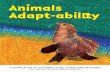 Wildlife Storybook 2020 WEB OPT - Copy