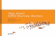 The PwC CFO Survey Series