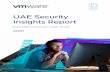 UAE Security Insights Report