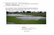 MGS Flood Manual, Proprietary Version