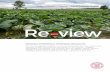 2020 CCE Cornell Vegetable Program Year in Review
