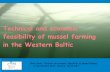 Technical and economic feasibility of mussel farming in ...