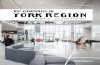 TOP COMPANIES IN YORK REGION - York Link