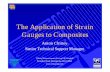 The Application of Strain Gauges to Composit