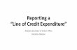 Reporting Line of Credit Expenditure