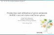 Production and utilization of green ammonia :KIER’s ...
