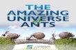 THE AMAZING UNIVERSE OF ANTS - Evviva Sciences