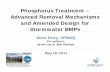 Phosphorus Treatment – Advanced Removal Mechanisms and ...