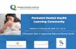 Perinatal Mental Health Learning Community