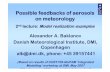 Possible feedbacks of aerosols on meteorology