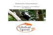 Extensive information: Project Colobus monkeys in Kenya