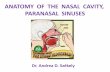 ANATOMY OF THE NASAL CAVITY, PARANASAL SINUSES
