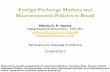 Foreign Exchange Markets and Macroeconomic Policies in Brazil