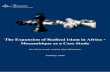The Expansion of Radical Islam in Africa - Mozambique as a ...