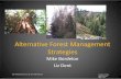 Alternative Forest Management Strategies