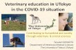 Veterinary education in UTokyo in the COVID-19 situation