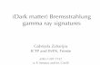 (Dark matter) Bremsstrahlung gamma ray signatures