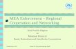 MEA Enforcement – Regional Cooperation and Networking