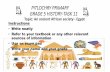 PITLOCHRY PRIMARY GRADE 5 HISTORY-TASK 11