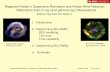 Magnetic Fields in Supernova Remnants and PulsarWind ...