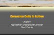 Corrosion Cells In Action - AUCSC