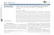 UHPLC-ESI-Q-TOF-MS/MS analysis, antioxidant activity ...