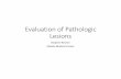 Evaluation of Pathologic Lesions
